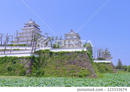 Shimabara Castle Shimabara Castle 123333674