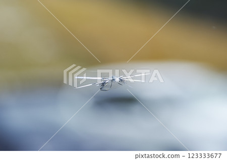 汽車擋風玻璃破裂 123333677