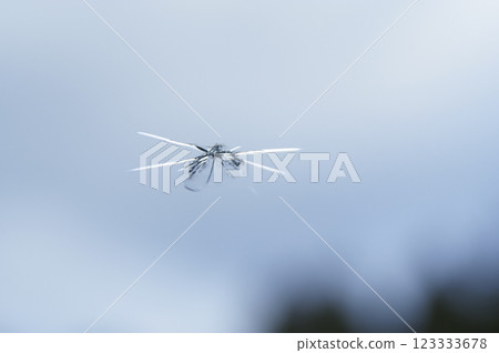 汽車擋風玻璃破裂 123333678