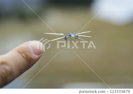 汽車擋風玻璃破裂 123333679