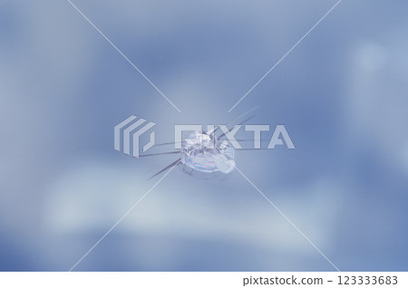 Cracks in the windshield of a car 123333683