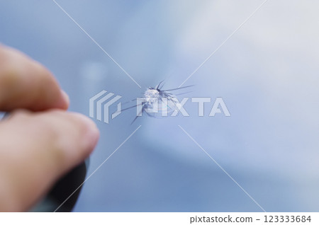 汽車擋風玻璃破裂 123333684