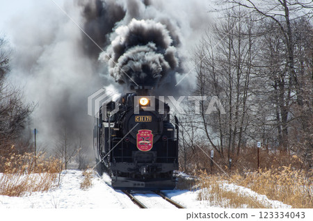 冬季濕原列車經過洞爺站（放大） 123334043