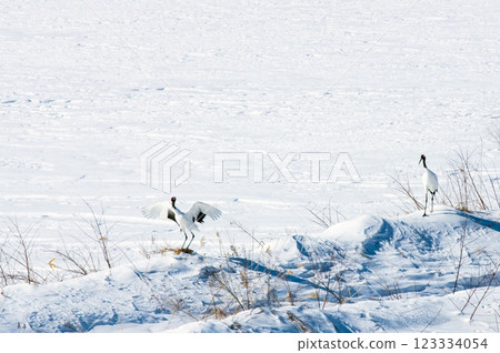 In the snowy fields near the Moseturi River 123334054