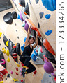fit woman exercising on climbing wall in gym 123334265