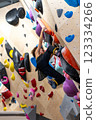 fit woman exercising on climbing wall in gym 123334266
