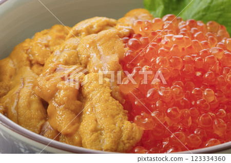 Delicious looking sea urchin and salmon roe bowl Delicious looking sea urchin and salmon roe bowl 123334360