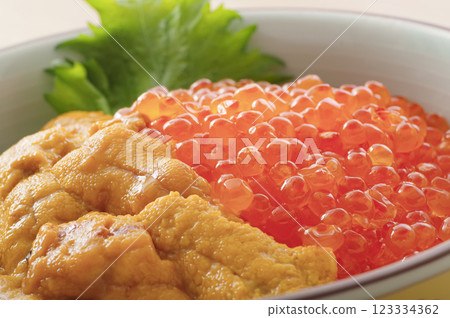 Delicious looking sea urchin and salmon roe bowl 123334362