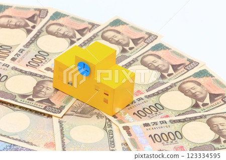 學校和紙幣的形象 123334595