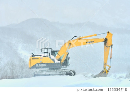In the snow In the snow 123334748