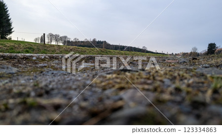 A scenic view showcasing an empty pathway stretching into the distance under an overcast sky 123334863