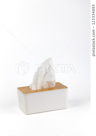 close-up on white background stands a white plastic napkin holder with a wooden lid minimalistic design sticking out a white napkin hygiene kit close-up on white background stands a white plastic napkin holder with a wooden lid minimalistic design sticking out a white napkin hygiene kit 123334893