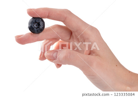 close up on white photo background between female fingers, ripe blueberry, healthy vitamins, seasonal summer fruit, vitamin C, forest and bush berries 123335084