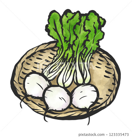 蘿蔔手繪插圖 123335473