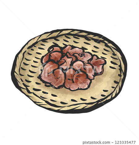 活水母的手繪插圖 活水母的手繪插圖 123335477