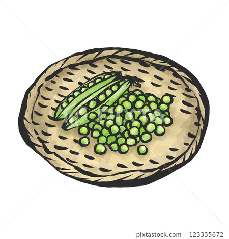 手繪畫筆風格的青豆插圖 手繪畫筆風格的青豆插圖 123335672