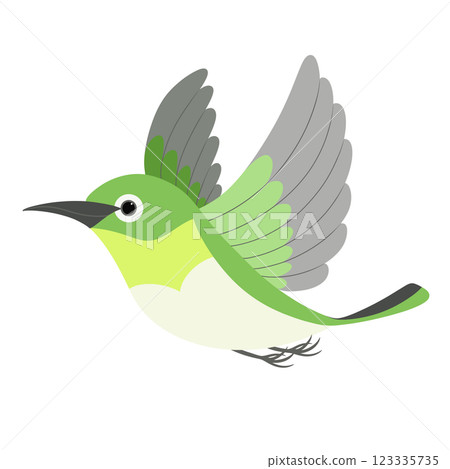 A cute Japanese white-eye flapping its wings 123335735