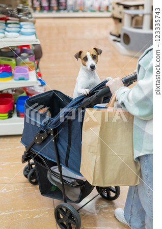 A woman is shopping at a pet store with her Jack Russell Terrier dog in a stroller. Vertical photo. A woman is shopping at a pet store with her Jack Russell Terrier dog in a stroller. Vertical photo. 123335743