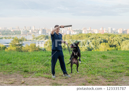 Pit bull terrier jumps for a stick. Guy training a dog.  123335787