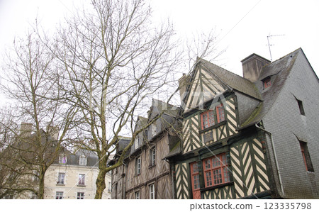 Cityscape with medieval houses. Cityscape with medieval houses. 123335798