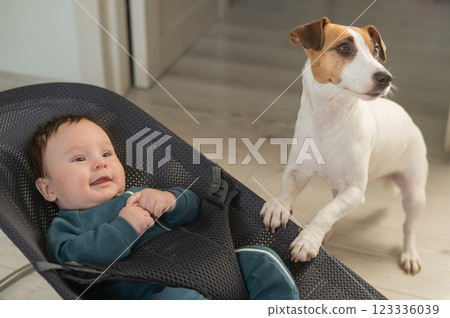 A dog rocks a cute three month old boy dressed in a blue onesie in a baby bouncer.  123336039