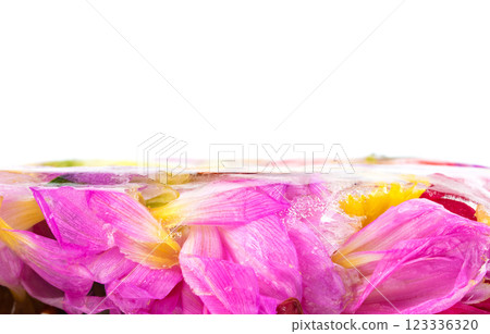 Multi-colored frozen flowers and petals on a white background. 123336320