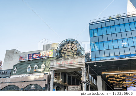 Tenmonkan, the largest shopping district in Kagoshima City, Kagoshima Prefecture 123336666