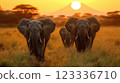 A herd of elephants strolls through golden grassland at sunset 123336710