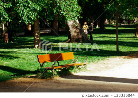 A wooden bench in a summer park. Shadows of the trees in parkland. Formal garden landscape. Background, texture of fresh lawn with contrasting shadow. 123336844