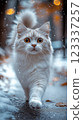 White cat walks through a snowy street under soft lights. Generative AI 123337257