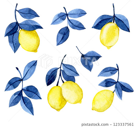 set of watercolor yellow lemons with blue leaves 123337561