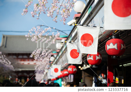 Tokyo, Asakusa: Sensoji Temple on a public holiday Tokyo, Asakusa: Sensoji Temple on a public holiday 123337716