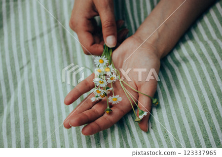 A bouquet of white summertime daisies in female hands view from above. A woman lying on striped plaid with a bunch of wildflowers. Relaxing outdoors. 123337965