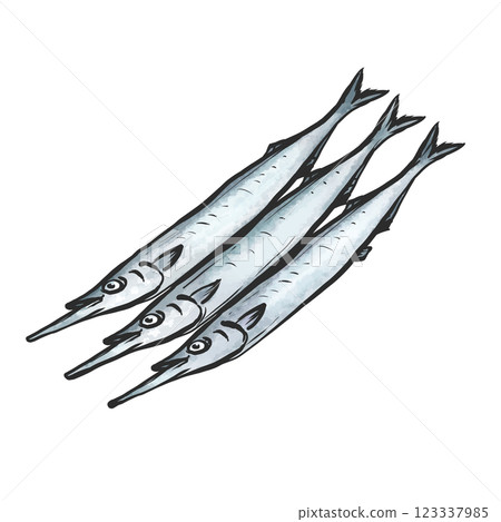 Hand-drawn brush-style illustration of halfbeak 123337985
