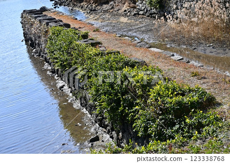 大村藩船庫遺跡（長崎縣大村市：串島城船庫遺跡） 123338768