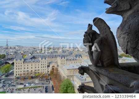 Gargoyle of Paris 123339464