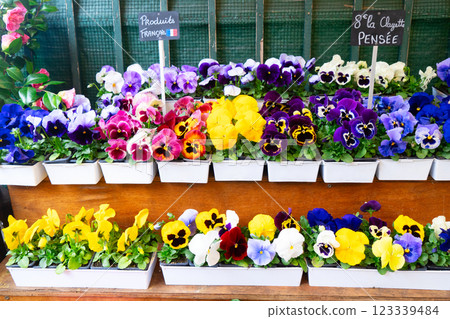 Paris flower market 123339484