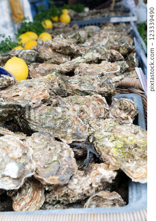 fresh oysters on farmer market 123339490