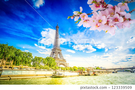 Bridge of Alexandre III, Paris, France 123339509