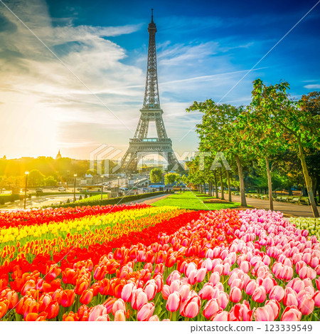 eiffel tour and from Trocadero, Paris 123339549