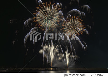 煙花反映在水中 123339670