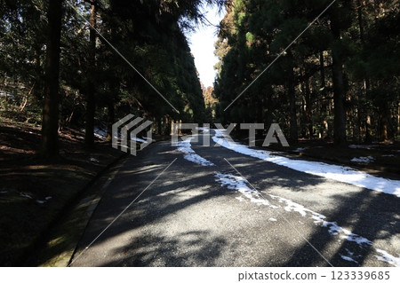 Musashi Tombs 123339685