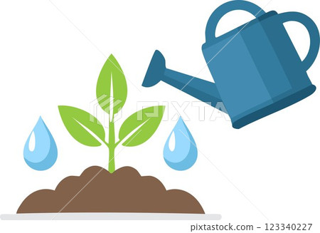 Seedling concept, Watering young plant white background 123340227