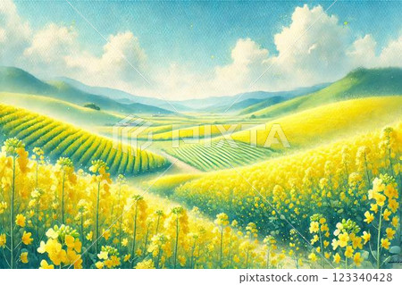 油菜田 油菜田 123340428