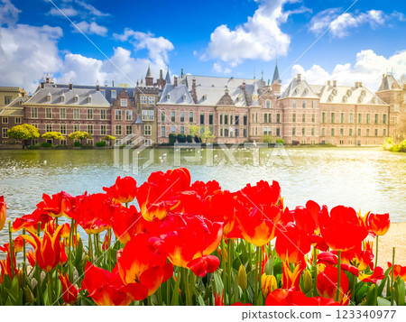Binnenhof - Dutch Parliament, Holland Binnenhof - Dutch Parliament, Holland 123340977