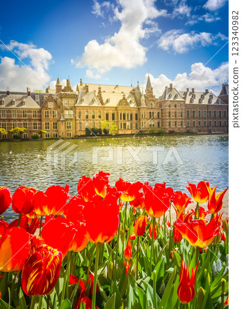 Binnenhof - Dutch Parliament, Holland Binnenhof - Dutch Parliament, Holland 123340982
