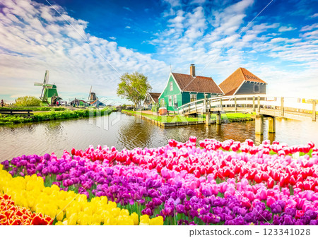 skyline of old town Zaanse Schans skyline of old town Zaanse Schans 123341028