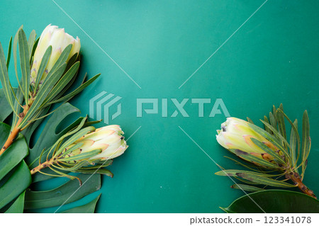 Tropical leaves and flowers over green background, summer background with copy space 123341078
