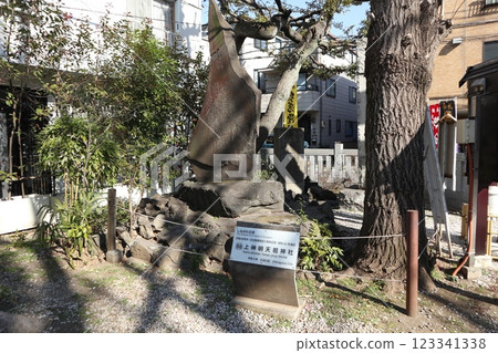 Shinagawa Ward, Hebi-kubo Shrine 123341338