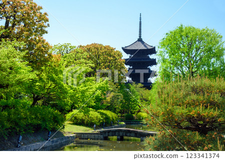 The five-storied pagoda of To-ji Temple surrounded by fresh greenery 123341374